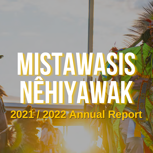 2019-2020 Annual Report and Financial Statements